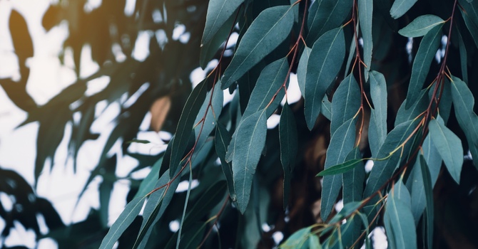 Five (5) Myths and Misconceptions About the dual diagnosis of Autism and ADHD (AuDHD)