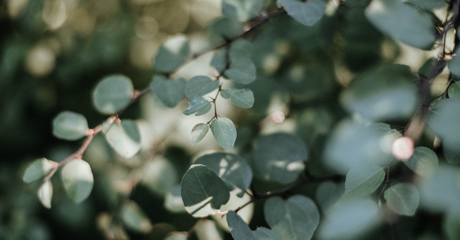 Five (5) Myths and Misconceptions About the dual diagnosis of Autism and ADHD (AuDHD)